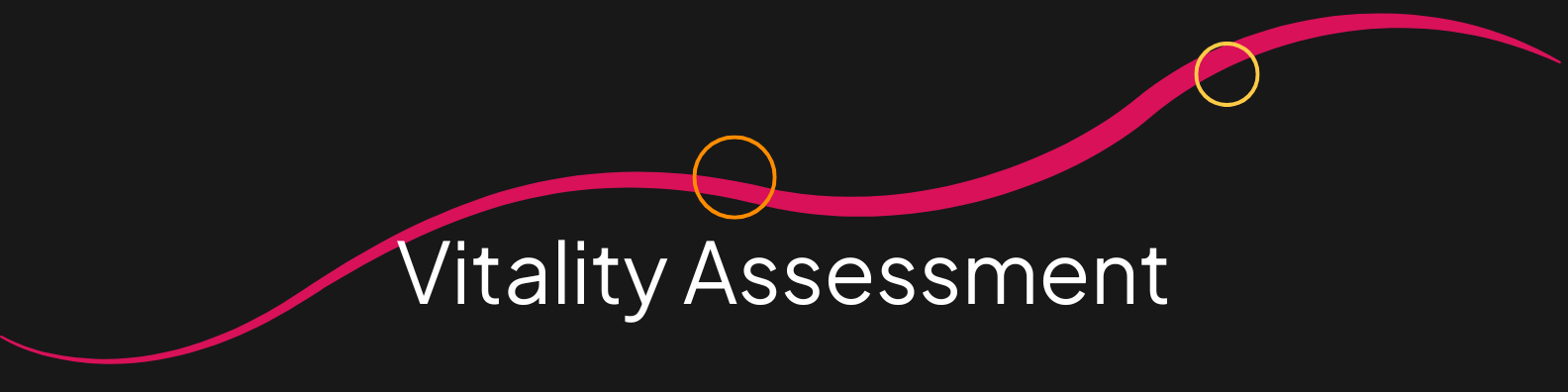 vitality assessment 2